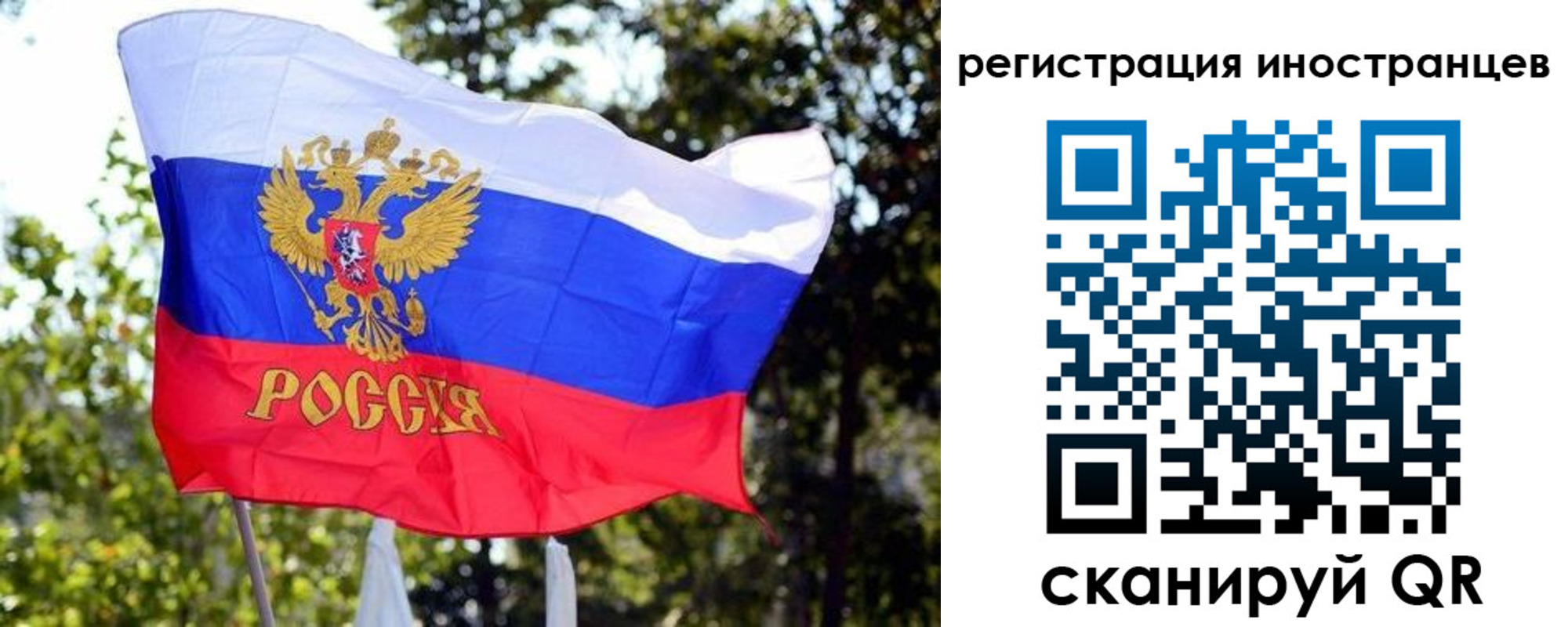 временная регистрация недорого в Псковской области